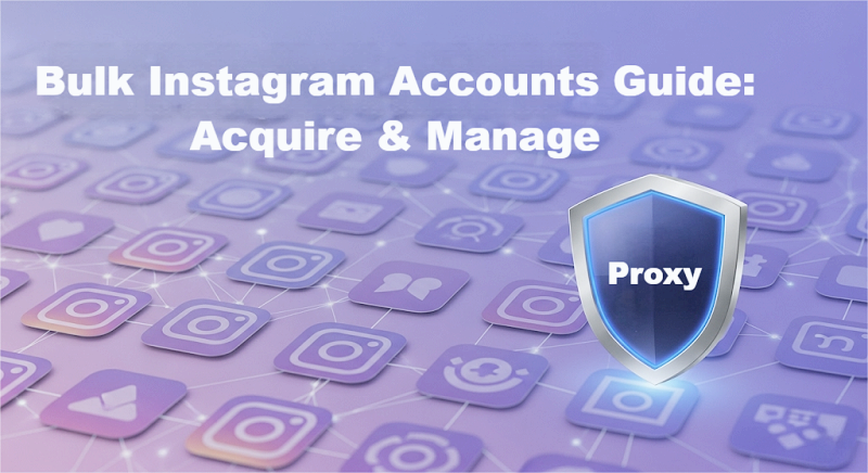 Guide to Bulk Instagram Accounts Acquire & Manage