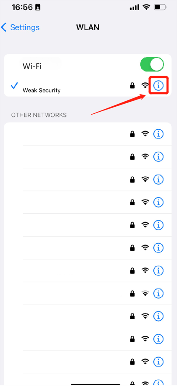 iPhone WiFi Information