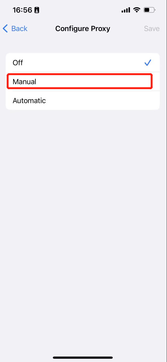 iPhone Proxy Manual