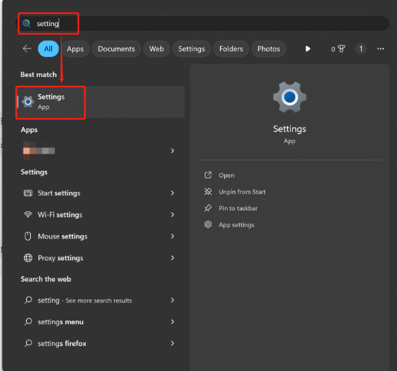 Search Windows Settings