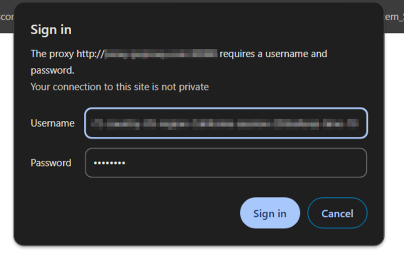 Proxy Authentication