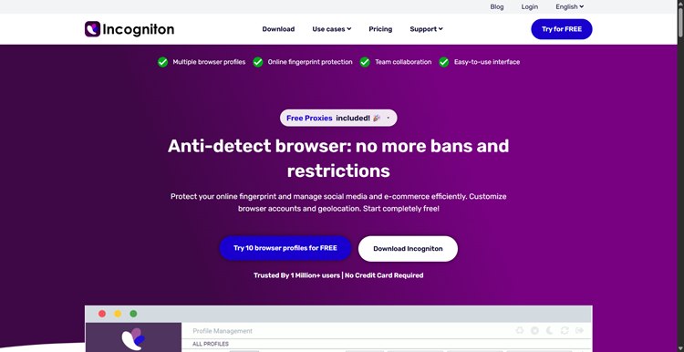 Incogniton Website
